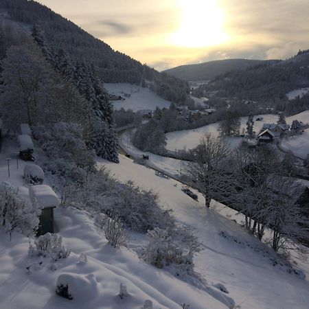 Altes Berghaus Apartman Obertal  Kültér fotó
