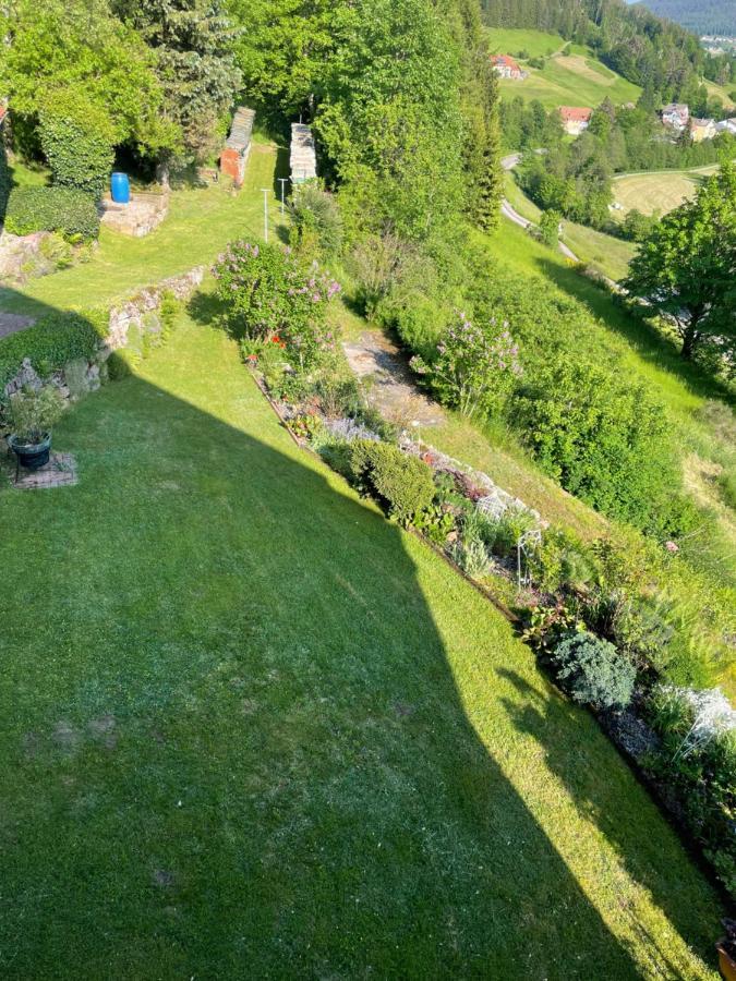 Altes Berghaus Apartman Obertal  Kültér fotó