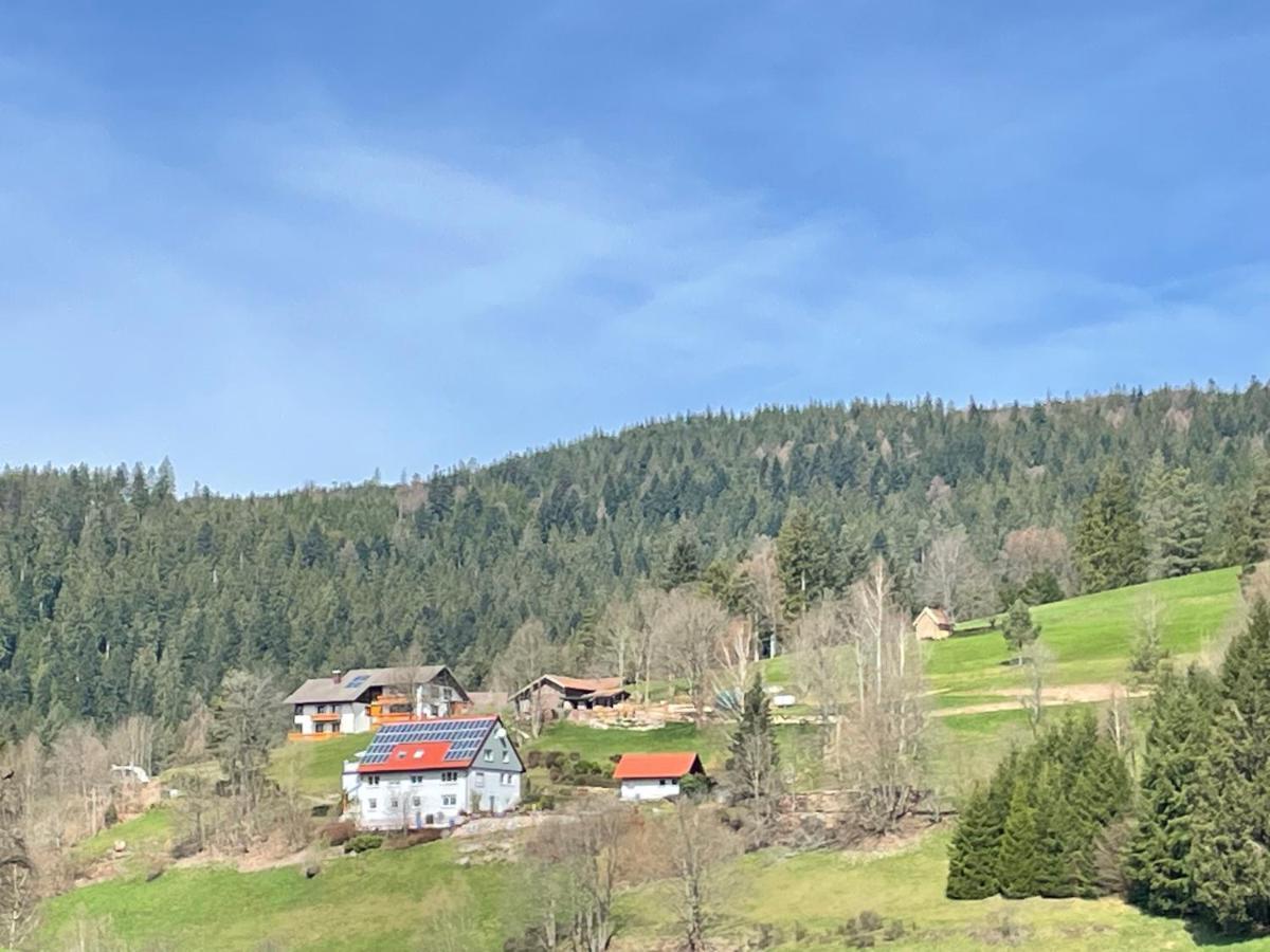 Altes Berghaus Apartman Obertal  Kültér fotó