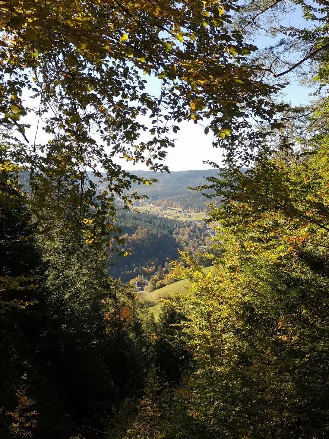 Altes Berghaus Apartman Obertal  Kültér fotó