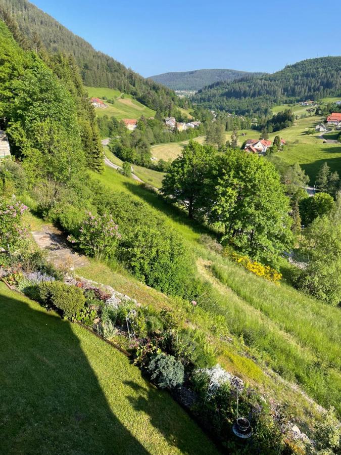 Altes Berghaus Apartman Obertal  Kültér fotó