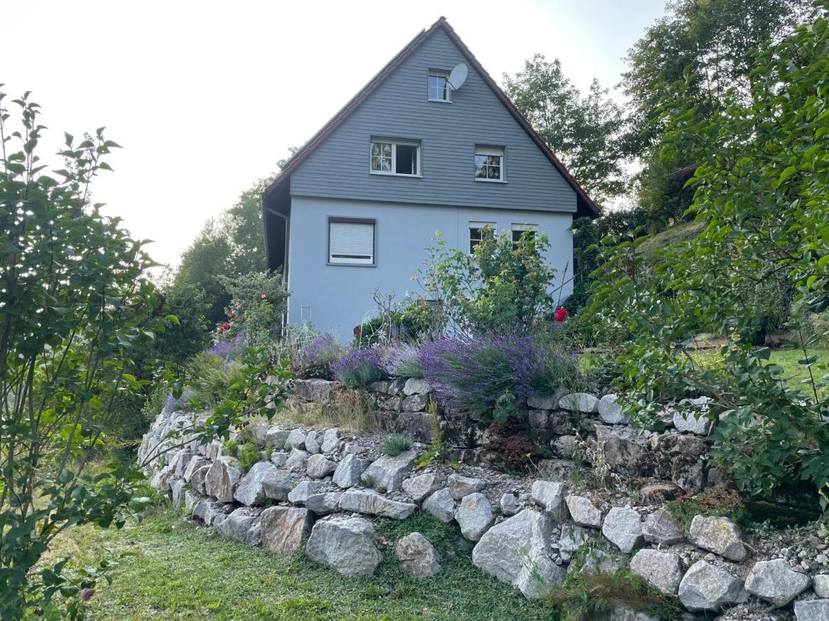 Altes Berghaus Apartman Obertal  Kültér fotó