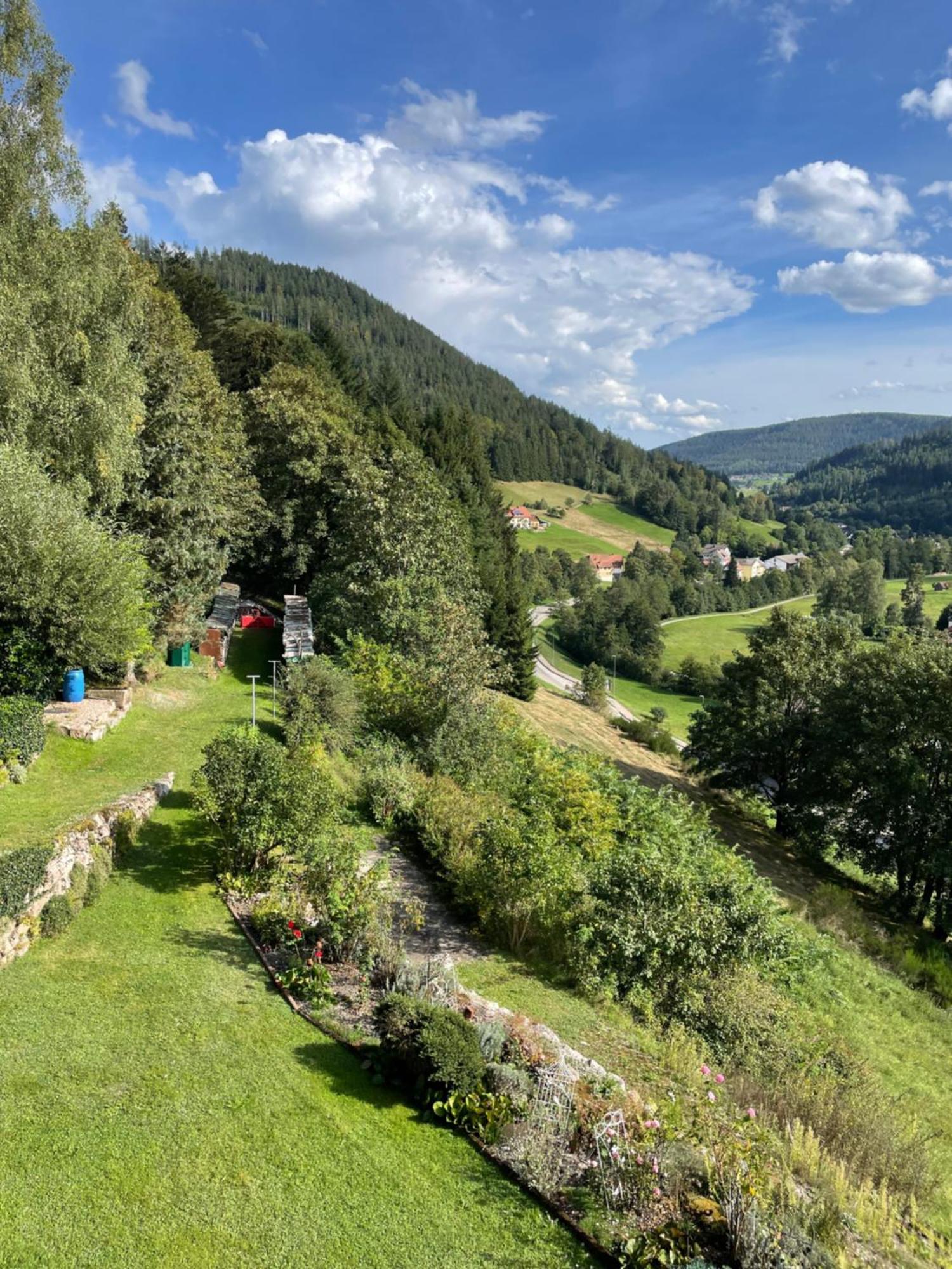 Altes Berghaus Apartman Obertal  Kültér fotó