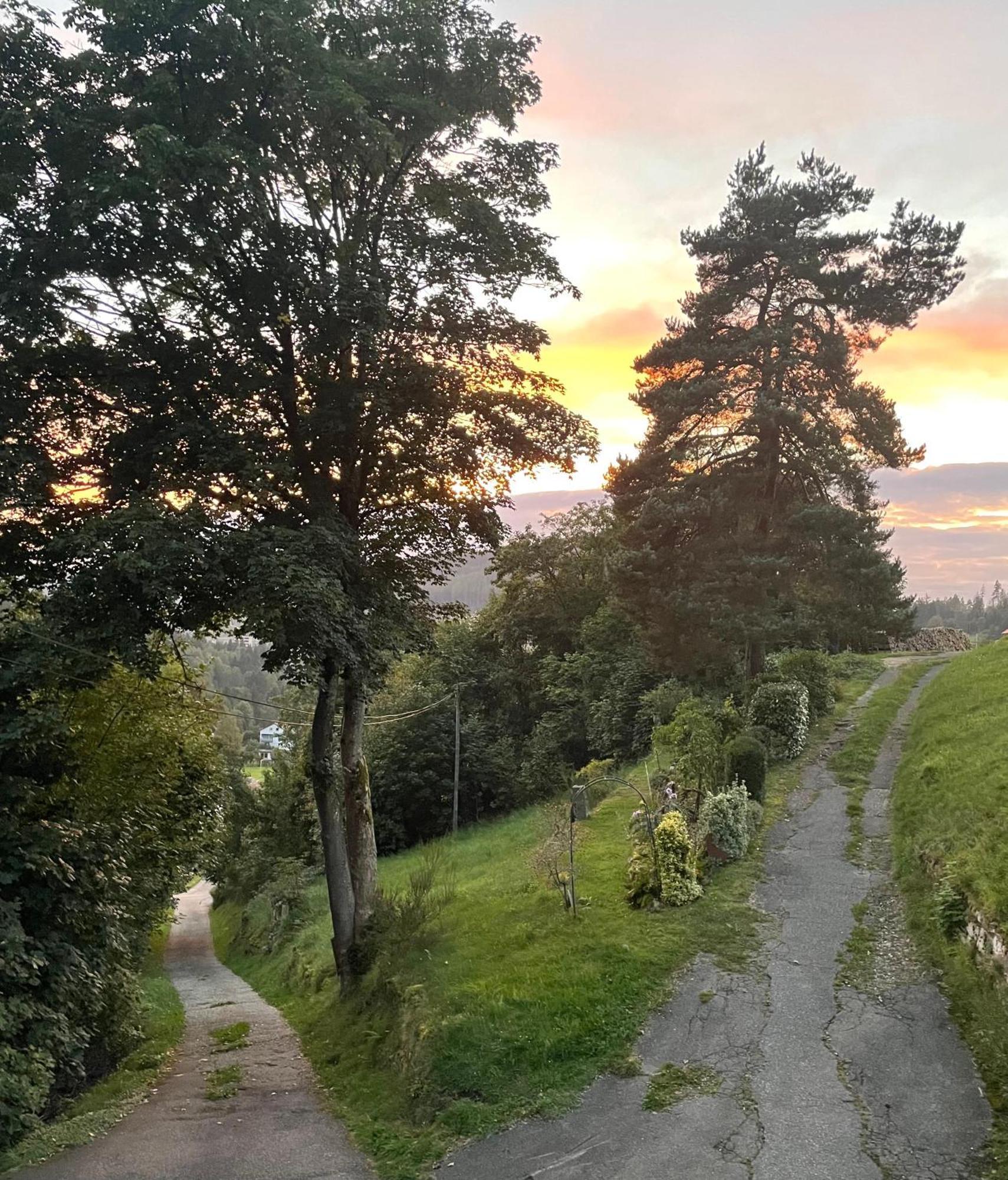 Altes Berghaus Apartman Obertal  Kültér fotó