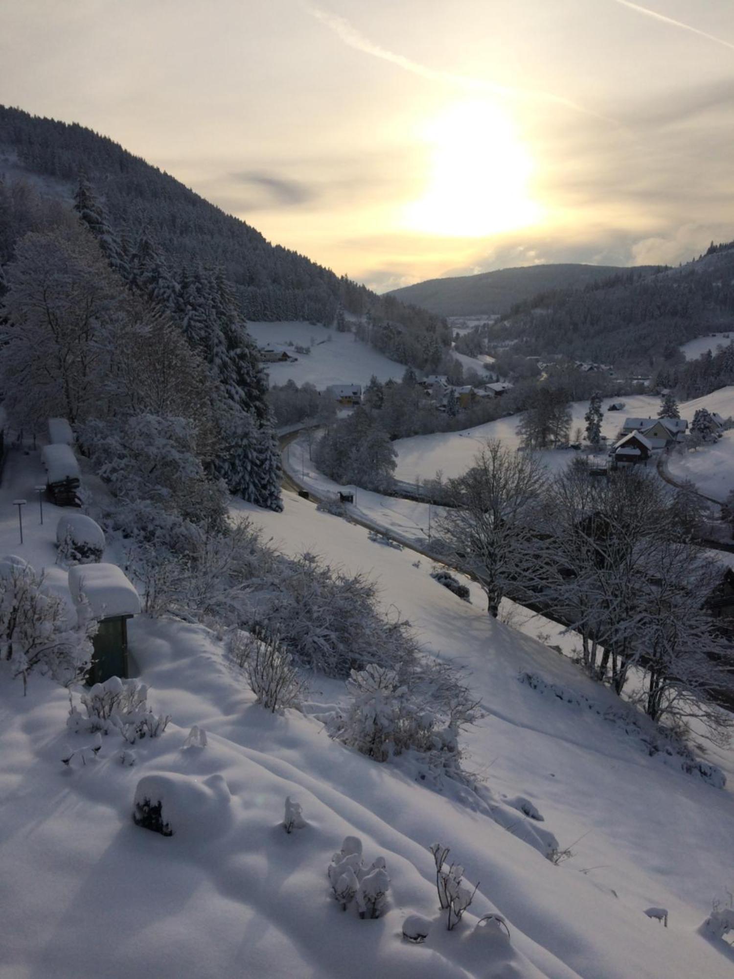 Altes Berghaus Apartman Obertal  Kültér fotó